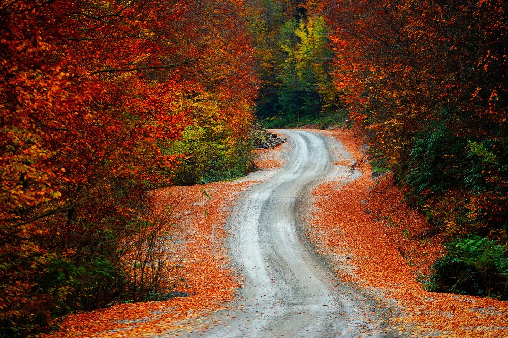 Фотография автора Gılcan Mete Delibay