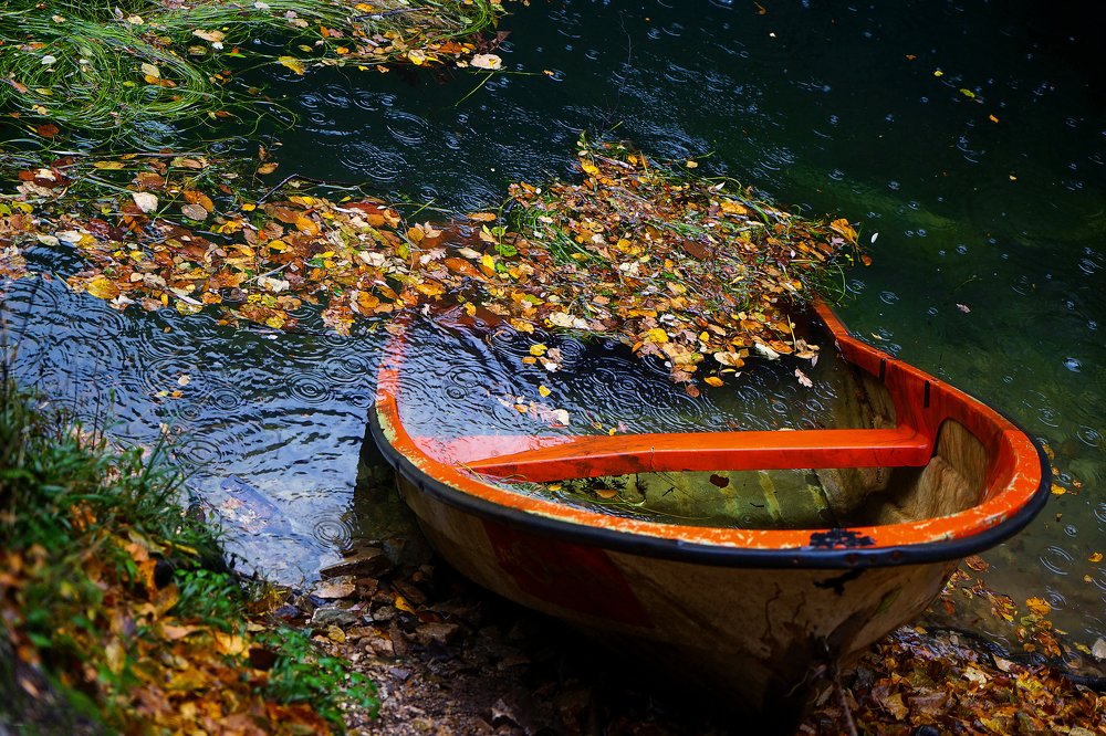 Фотография автора Gılcan Mete Delibay