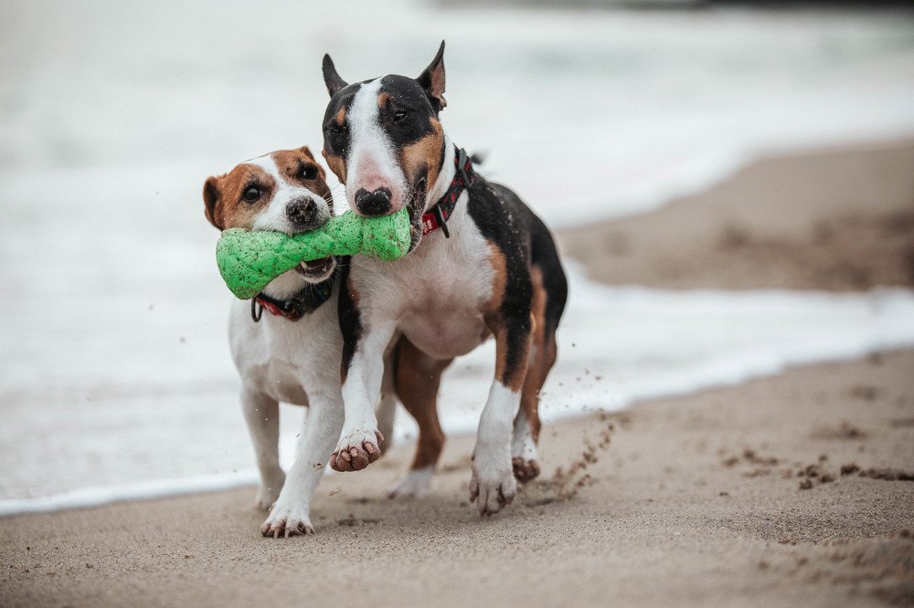 Photograph by Марина Колобанова