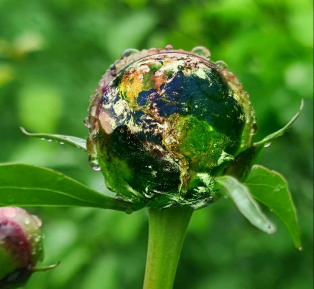 возрождение