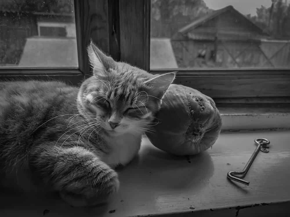 Photograph by Ольга Мусиенко