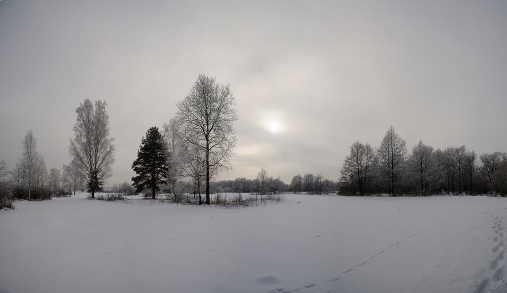 Photograph by Михаил