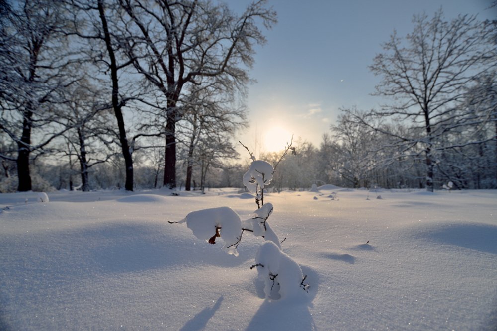 Photograph by Михаил