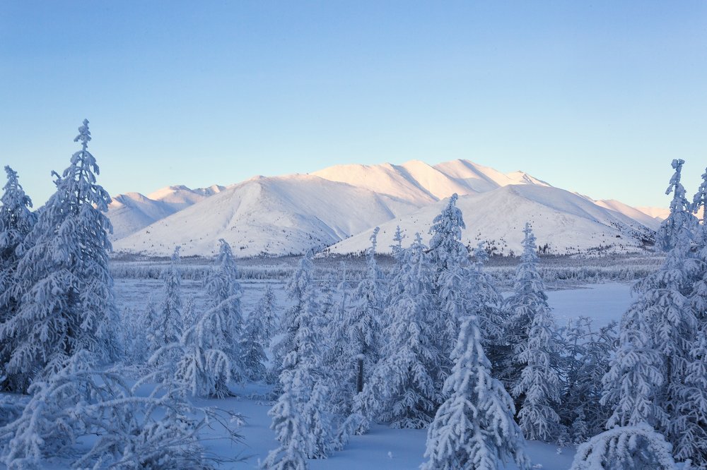 Зимняя декорация.