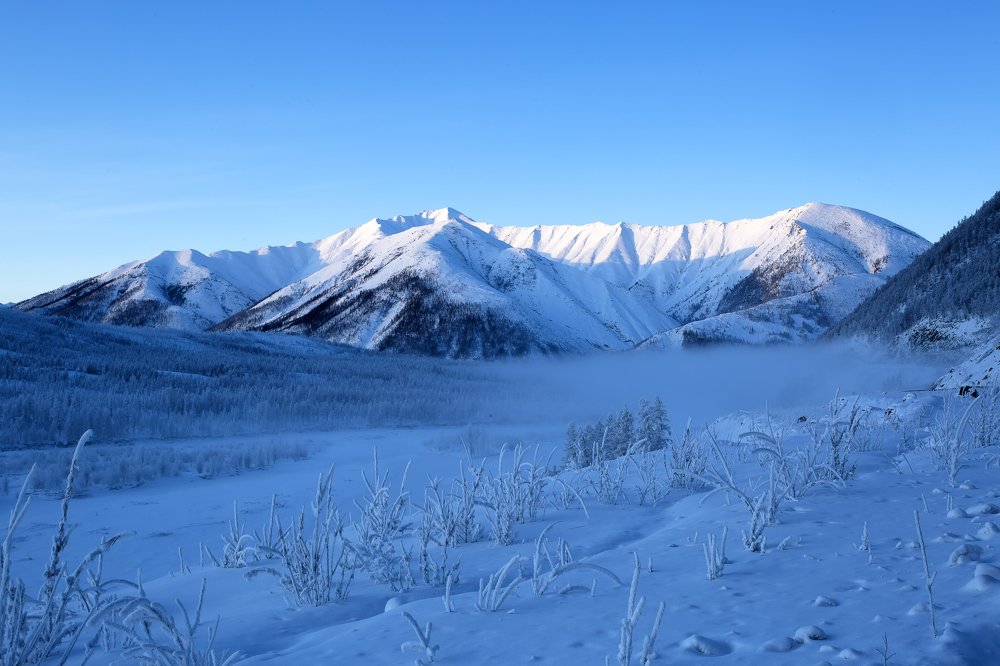 Зимний день в горах.