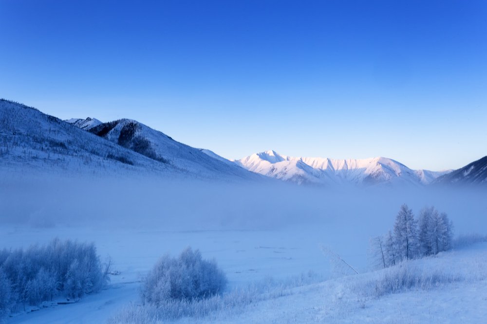 Туман и Холод.