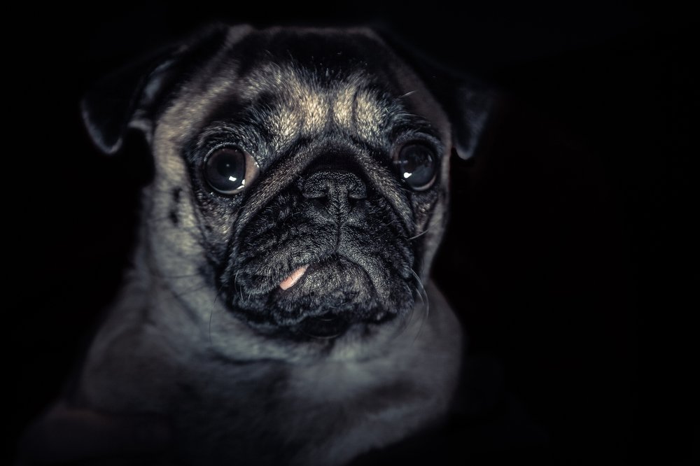 Photograph by Radim Zoun