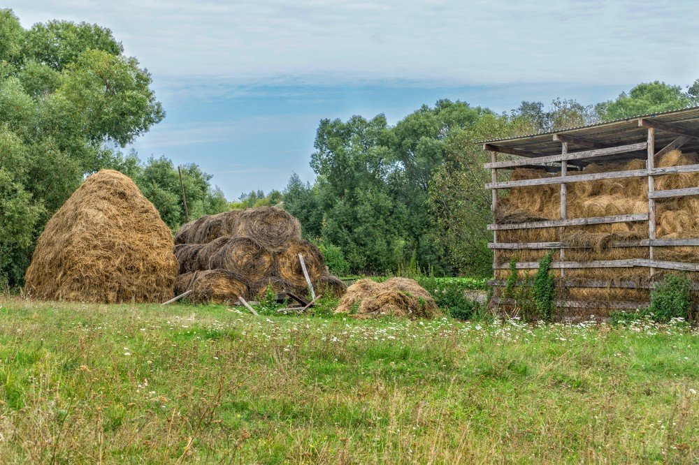 Про деревню и село_3. Запах соломы