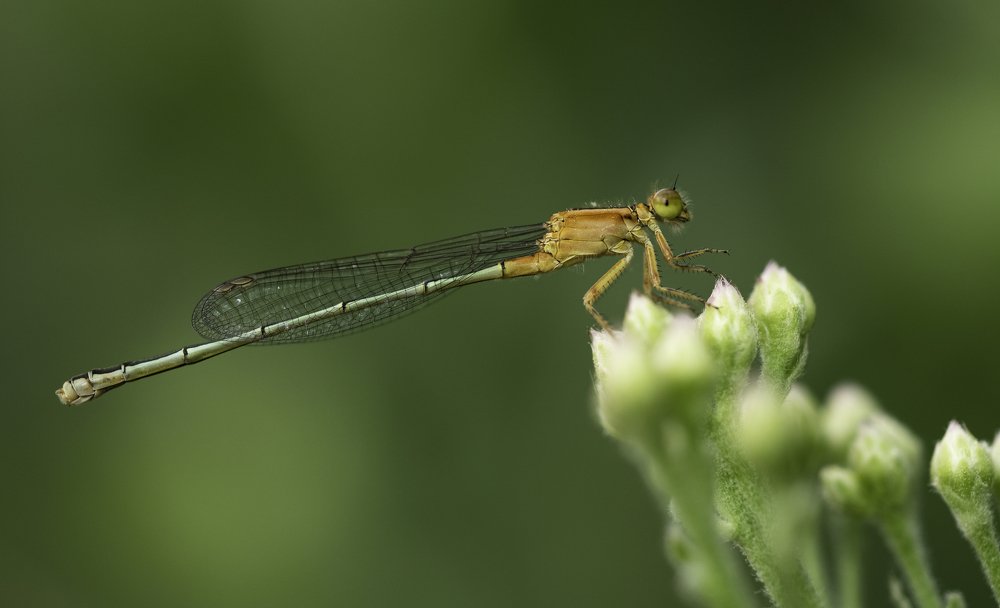 Фотография автора Paul Manjooran