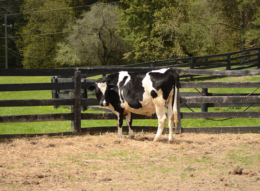 Photograph by Liliana Grup