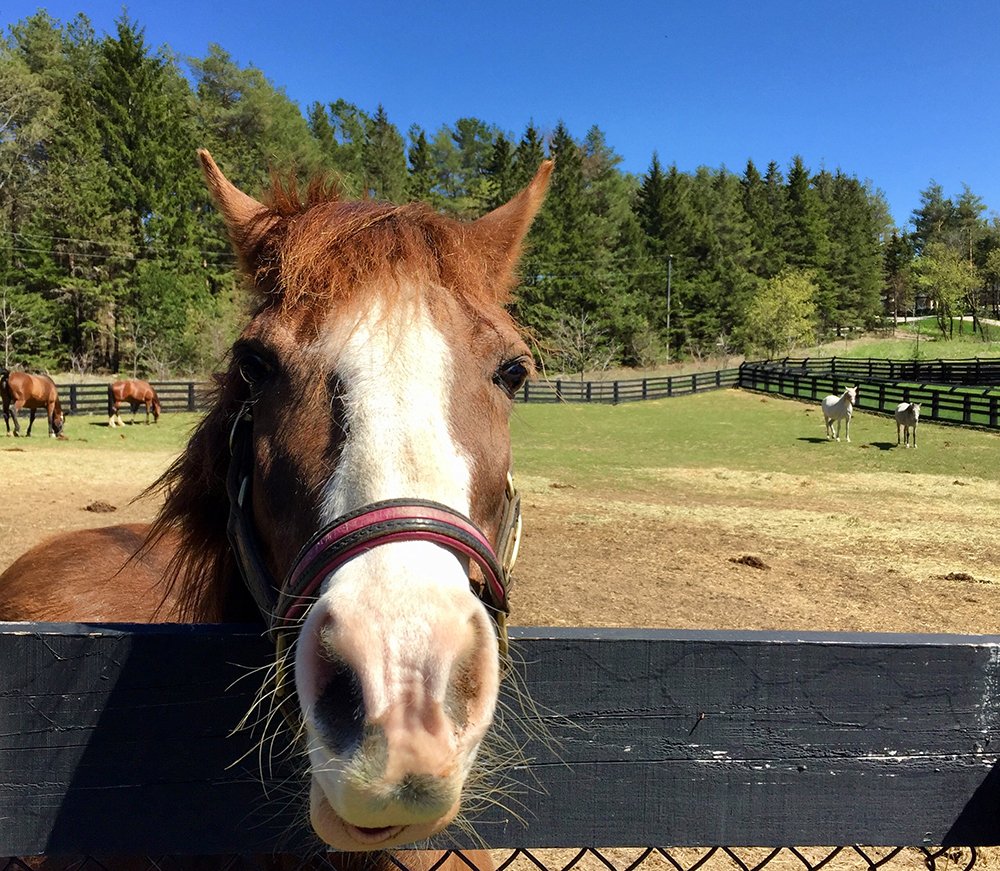 Photograph by Liliana Grup