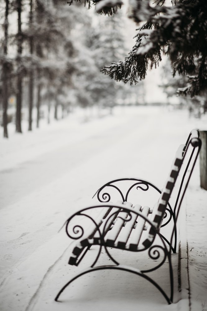 Photograph by Анна Белка