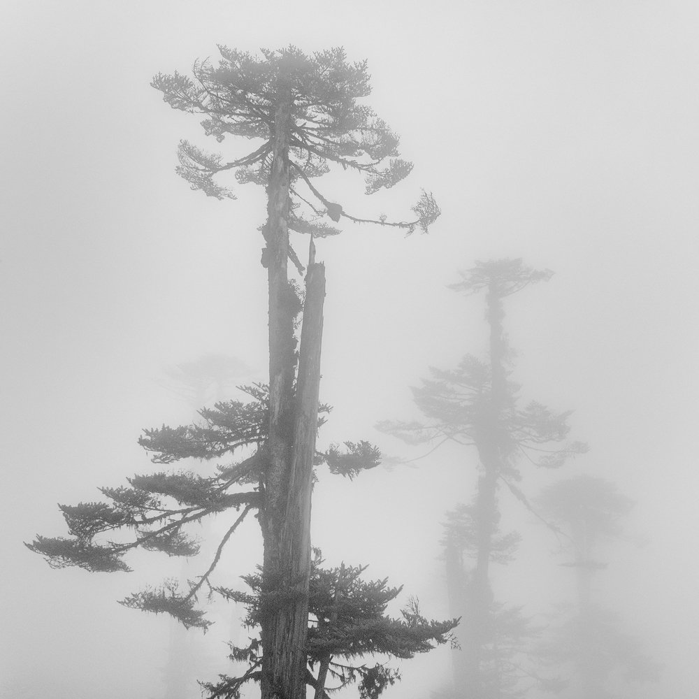 Photograph by Himadri Bhuyan