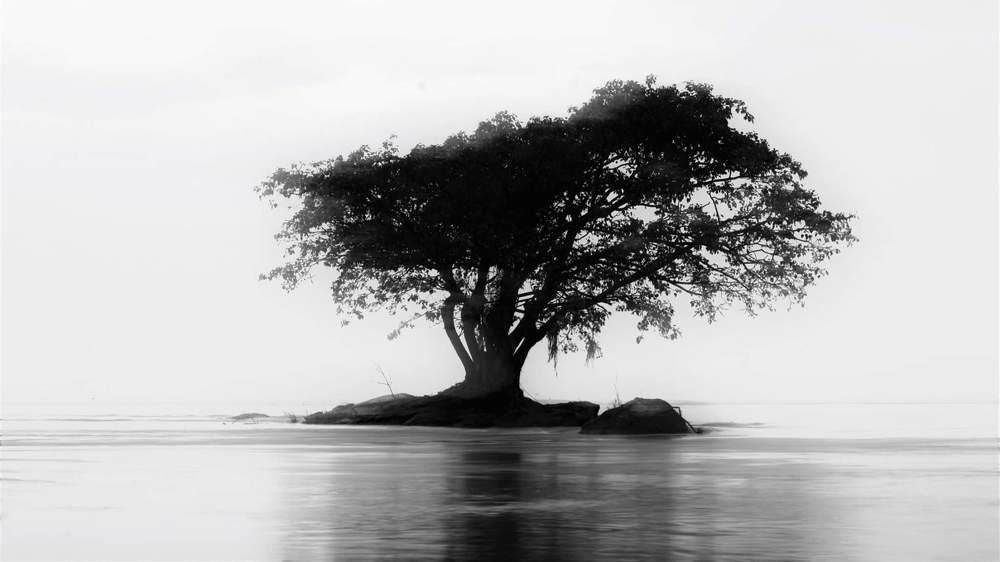 Photograph by Rajib Koushik