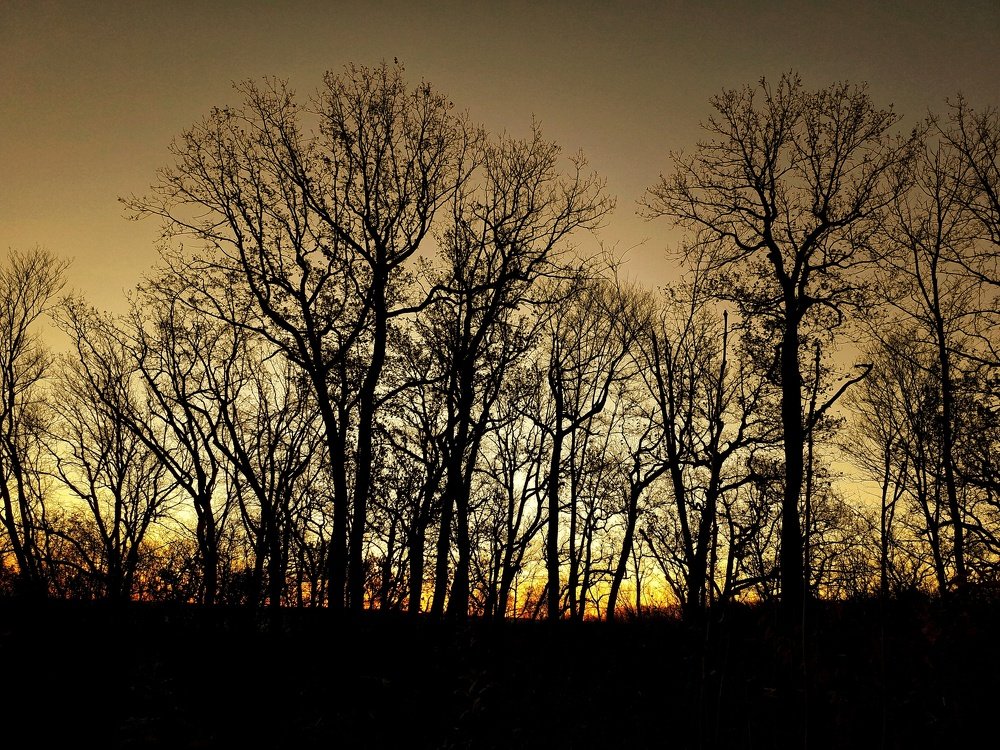 Photograph by Владимир Караман