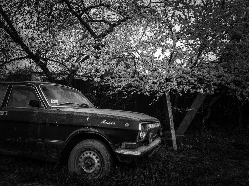 Photograph by Илья Гореньков