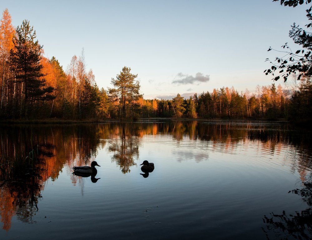 Photograph by Liguanna Anna