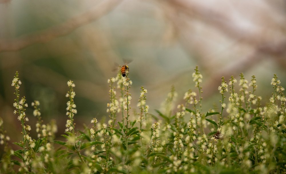 Photograph by Shivendra Singh