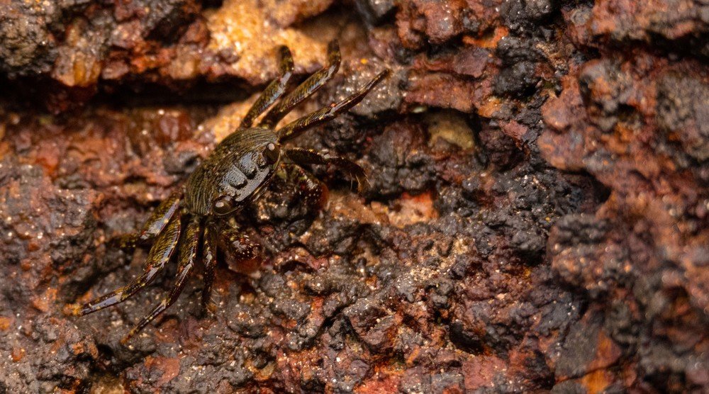 Photograph by Shivendra Singh