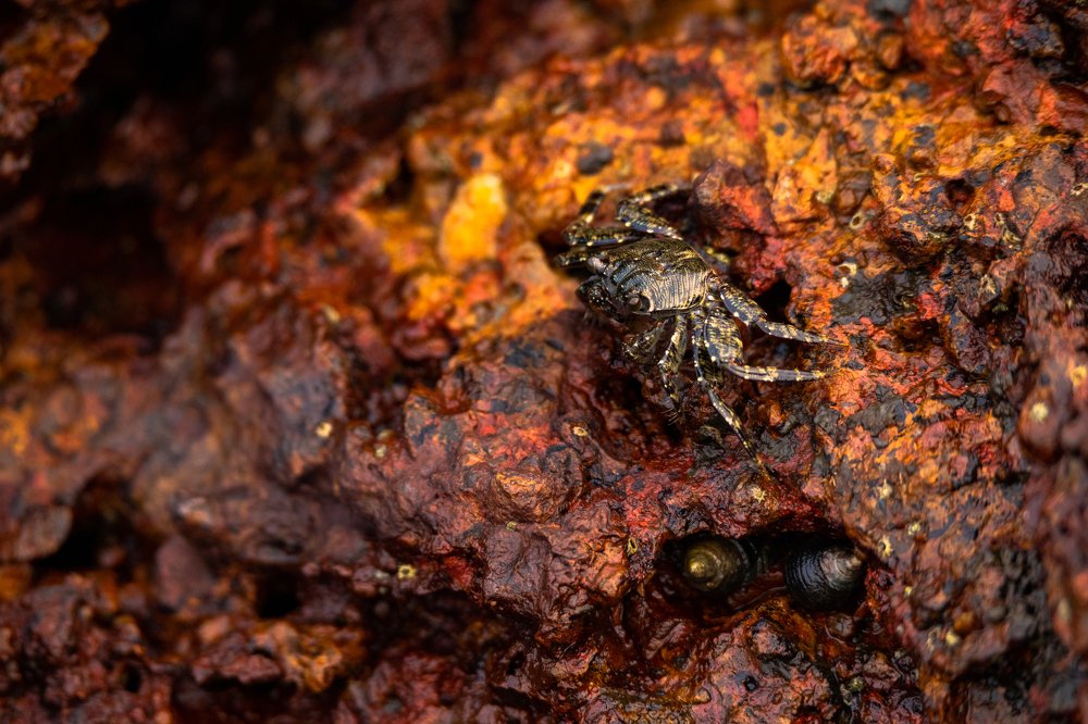 Photograph by Shivendra Singh