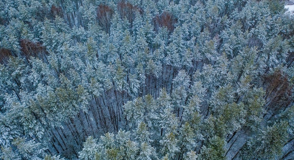 Photograph by Паша Савельев