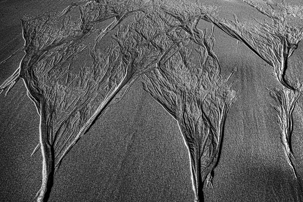 Photograph by Hong Tran