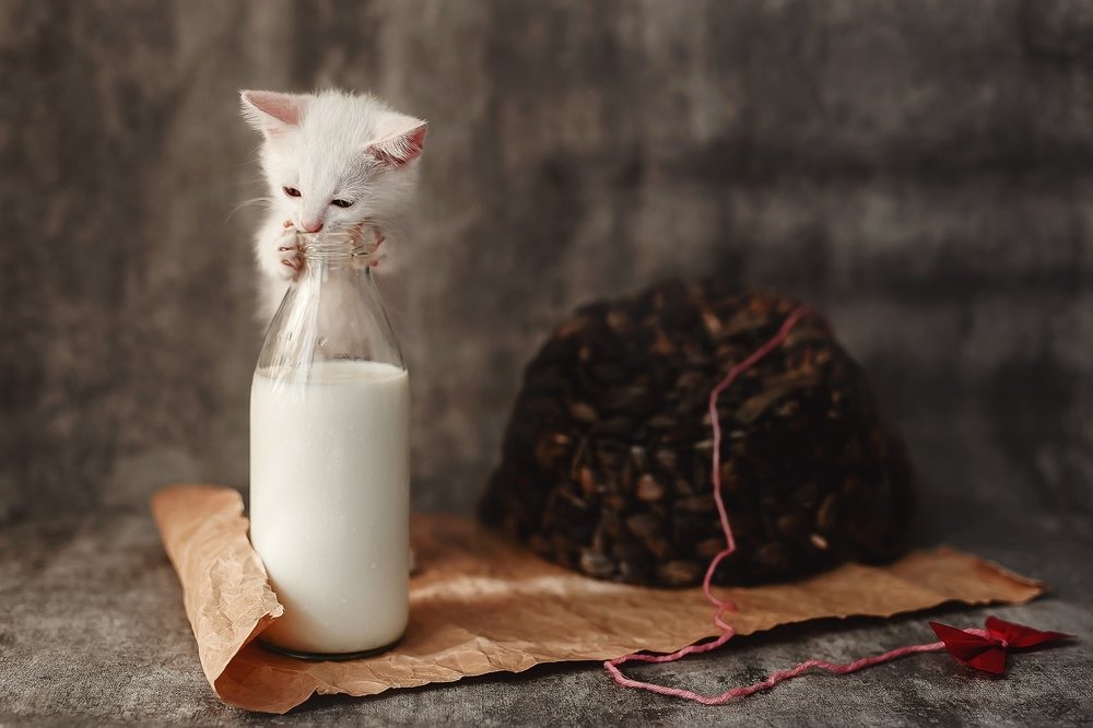 Photograph by Надежда Бочарникова