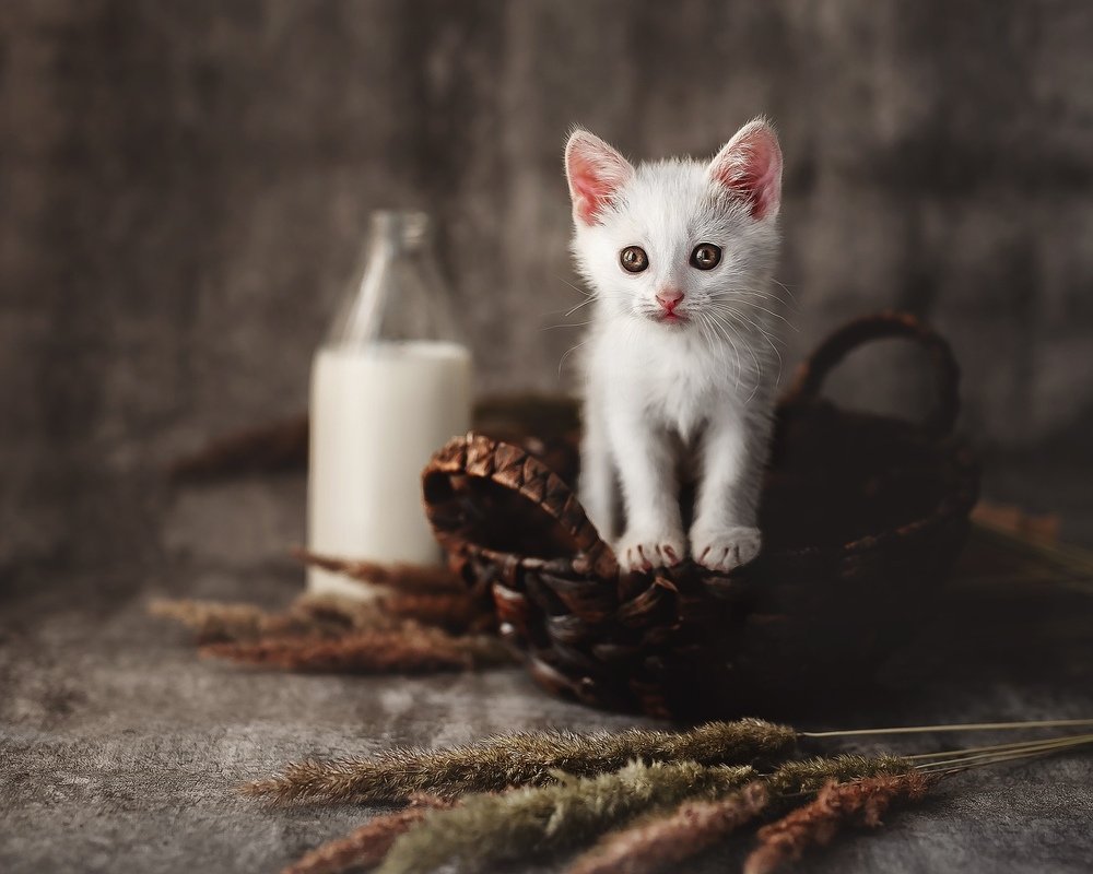 Photograph by Надежда Бочарникова