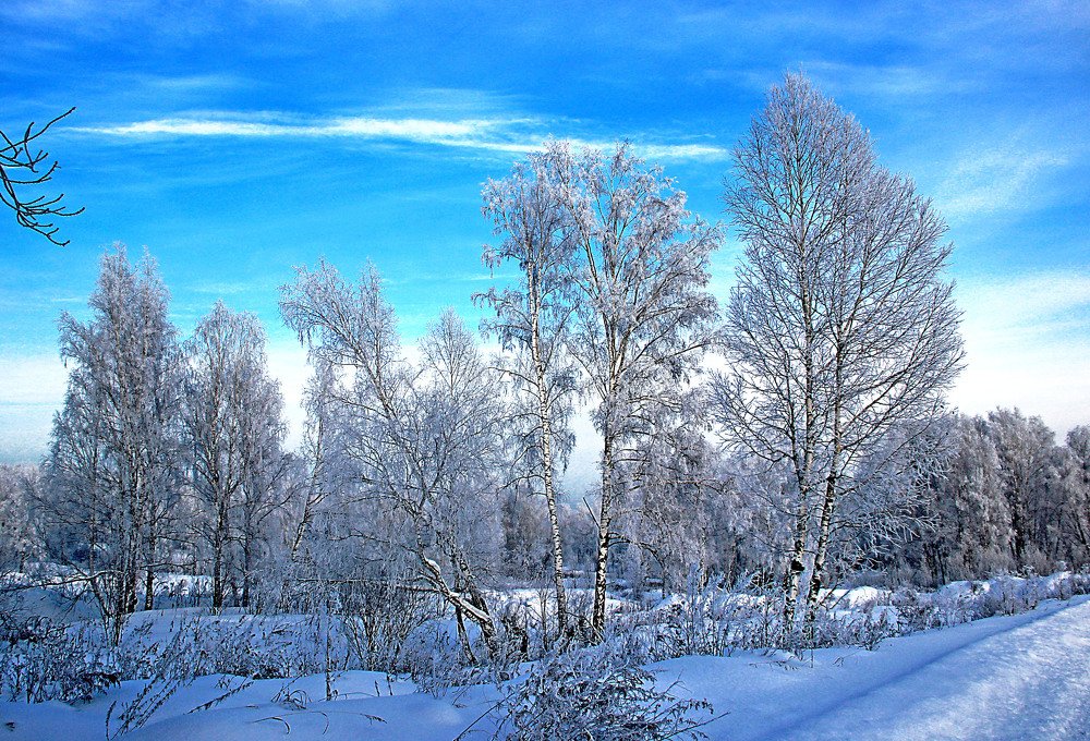 Photograph by Pavel Palkin