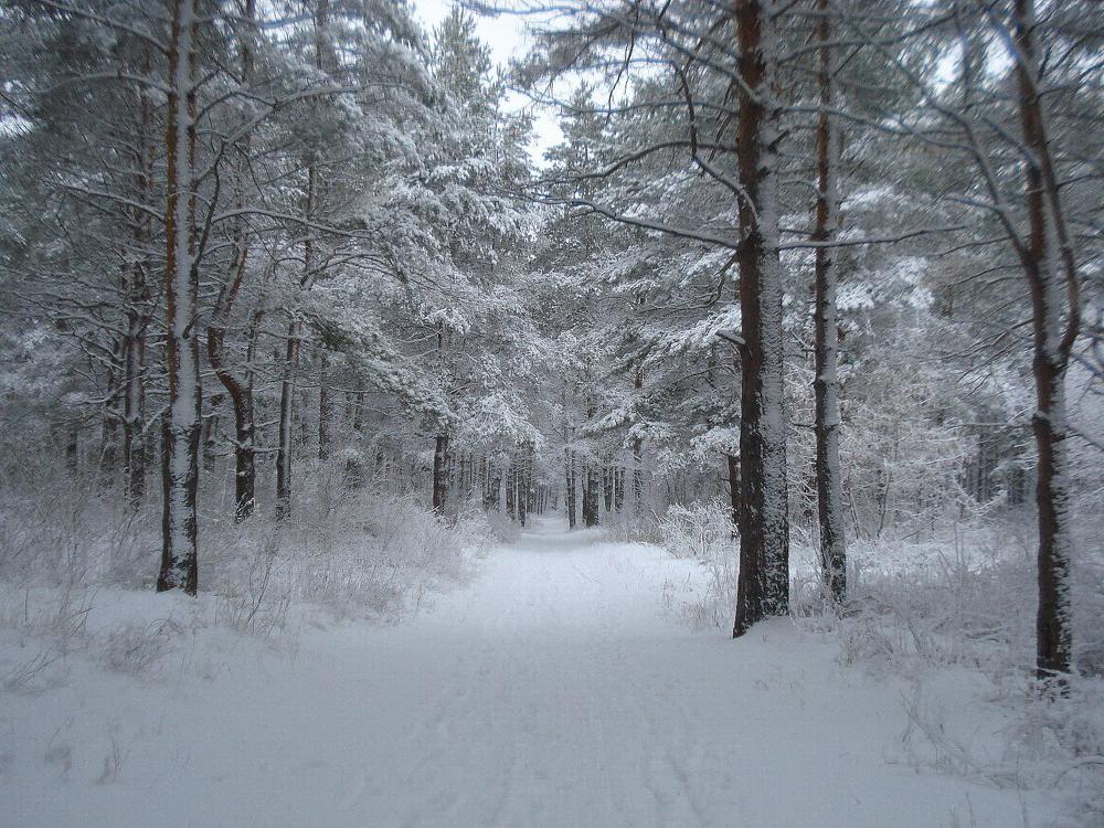 Фотография автора Павел Попов