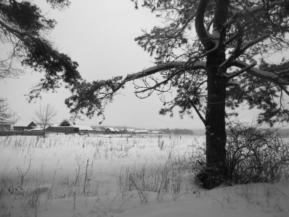 Photograph by Павел Попов