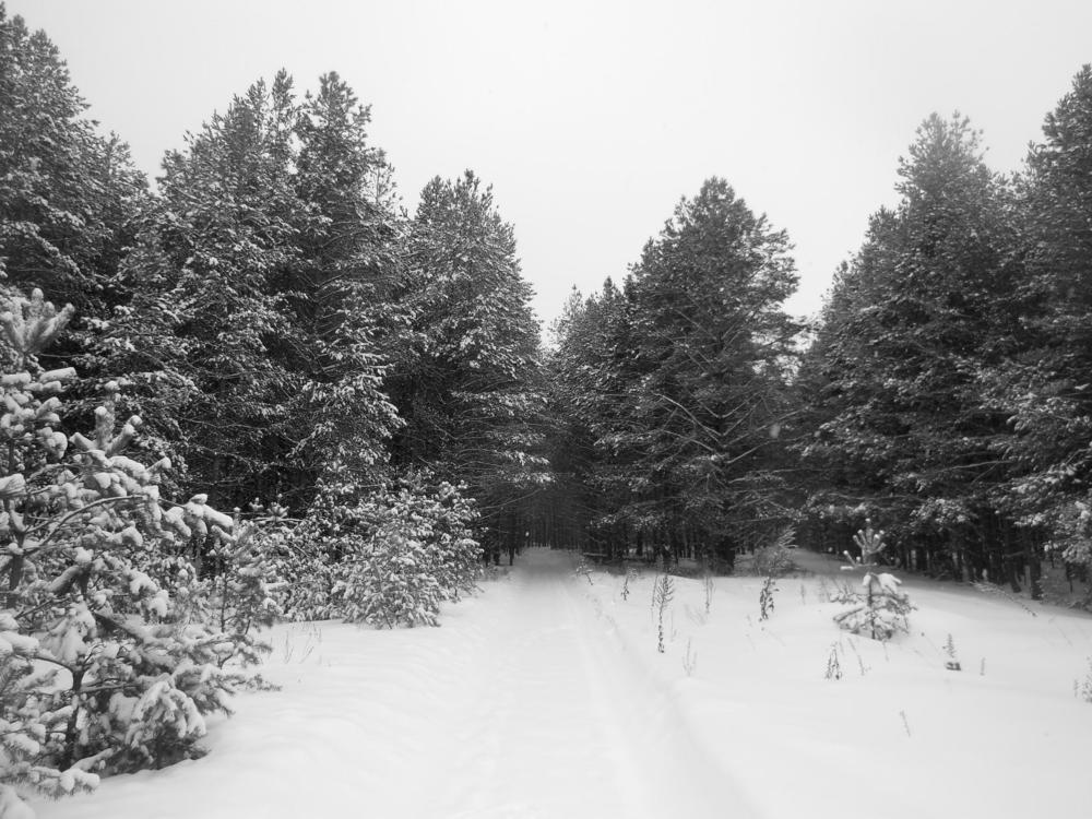 Фотография автора Павел Попов