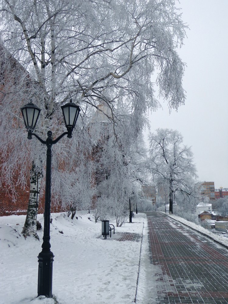 Photograph by Наталья Сазонова