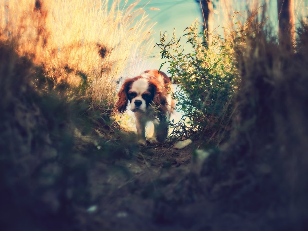 Photograph by Alexey Matveev