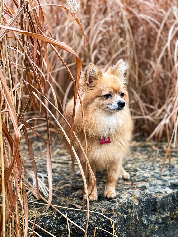 Фотография автора Алиса Чурчудесная