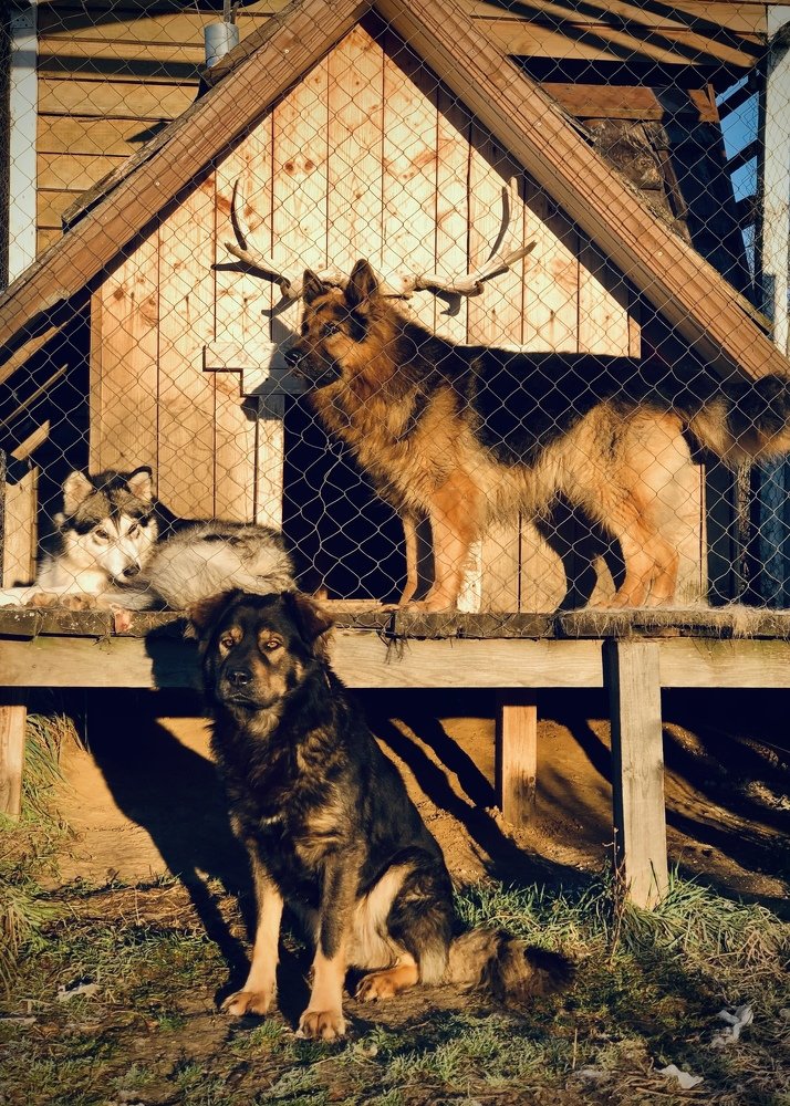 Фотография автора Алиса Чурчудесная