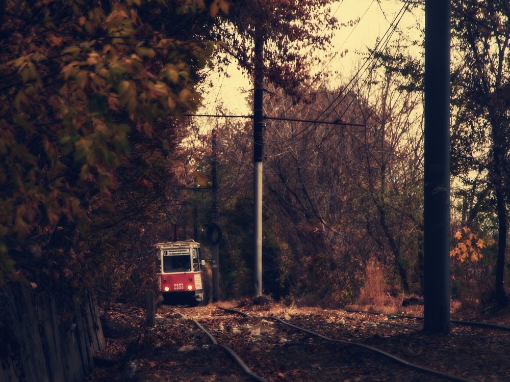 Photograph by Alexey Matveev