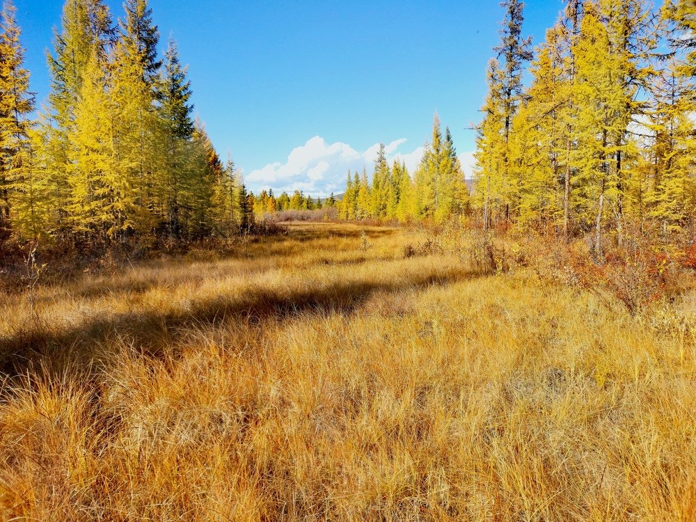 Photograph by Светлана