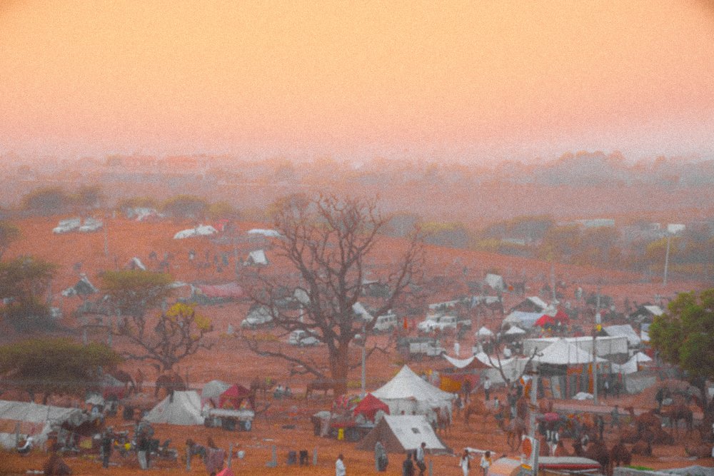 Photograph by Nihal Kumar