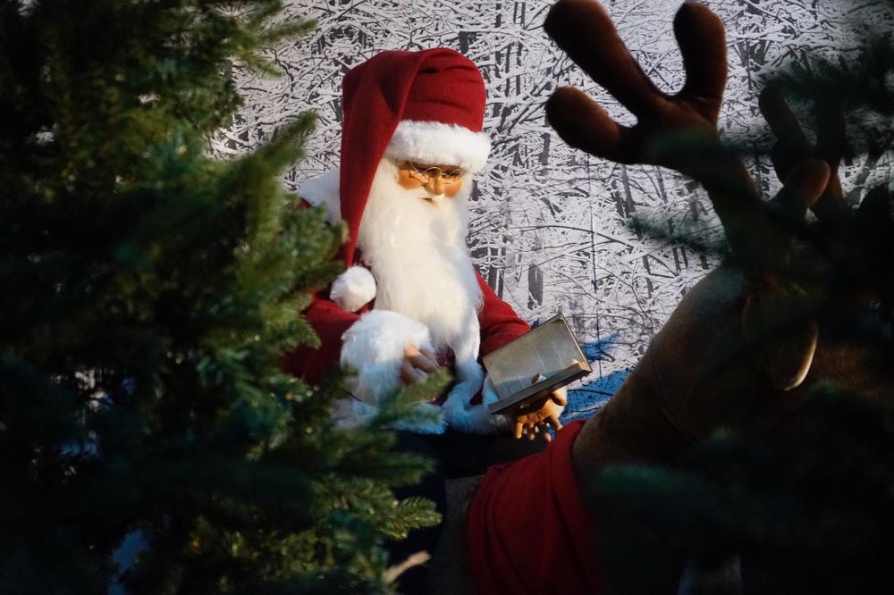 Photograph by Марина Неберекутина