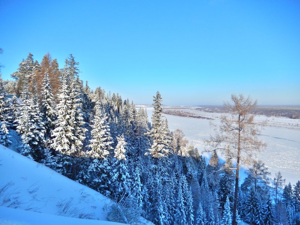 Фотография автора Клавдия Васильева