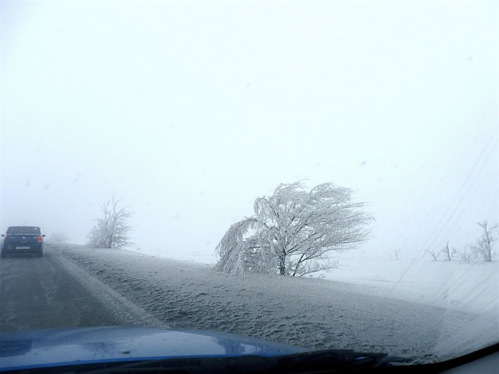 Фотография автора Клавдия Васильева