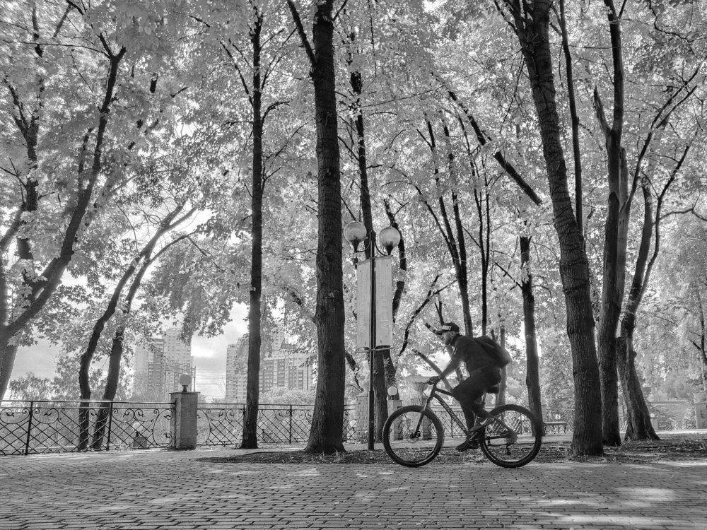 Photograph by Юрий Аристов