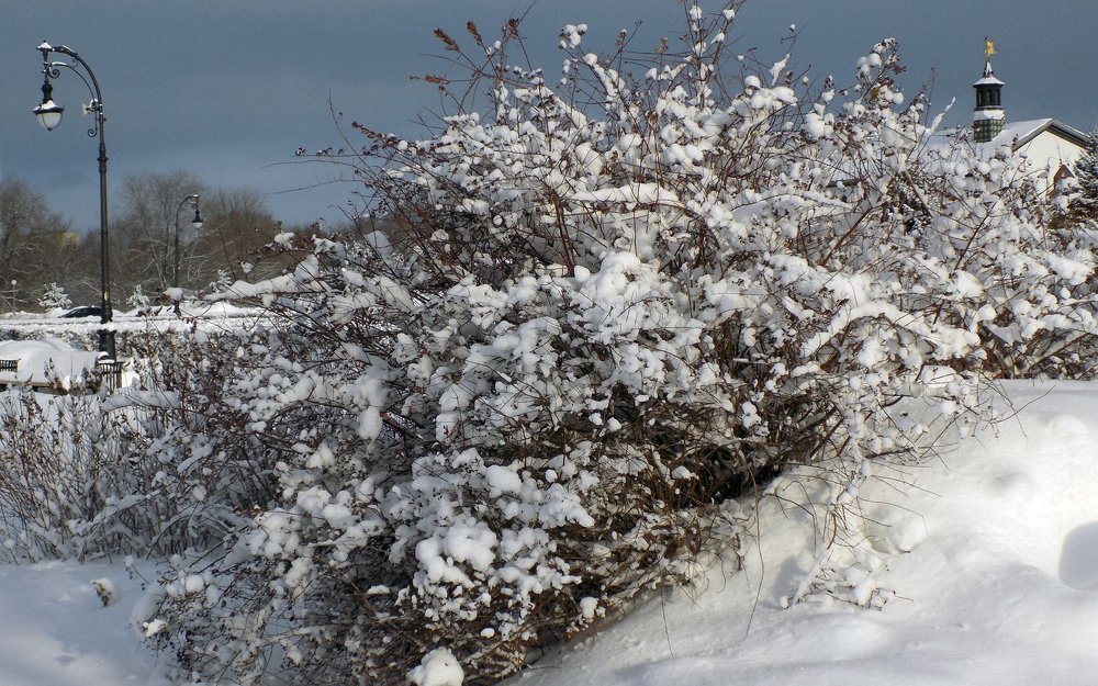 Photograph by Сергей Рудаков