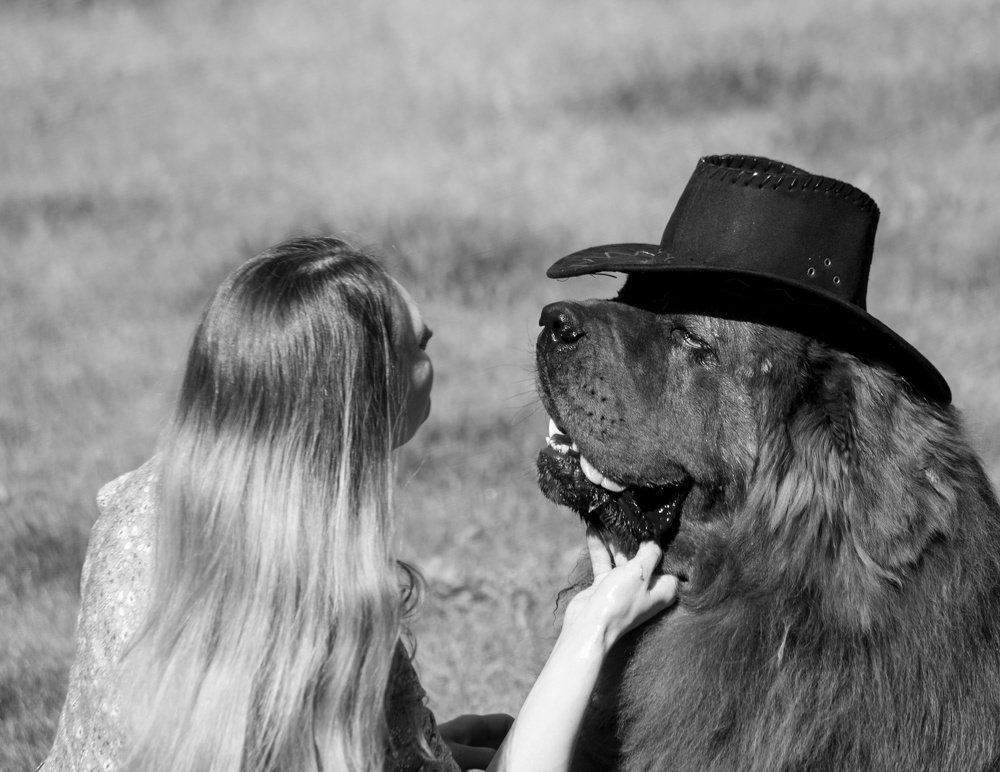 Photograph by Дмитрий Соколов