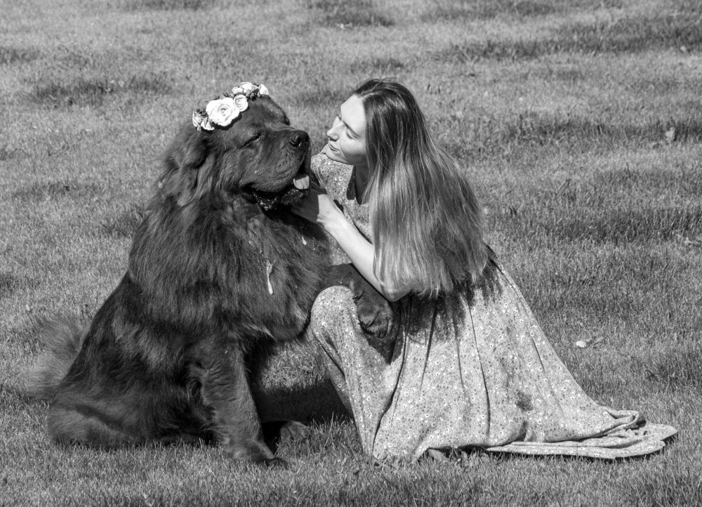 Photograph by Дмитрий Соколов