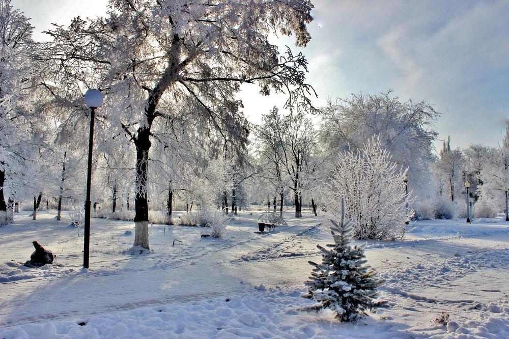 Зимняя сказка.