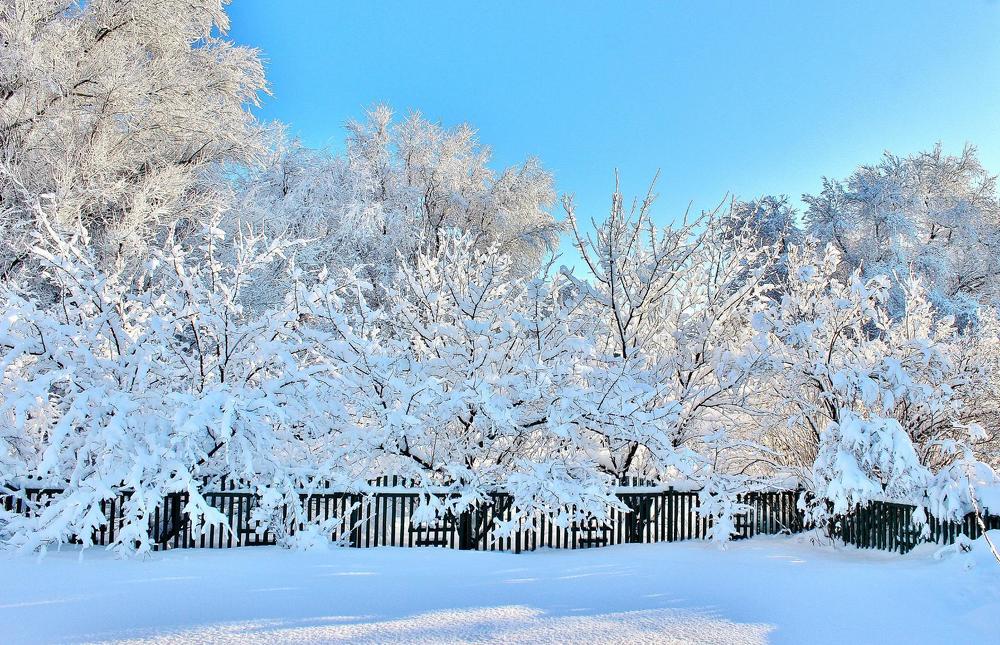 Ослепительная снежность!