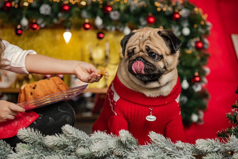 Photograph by Ирина Регульская