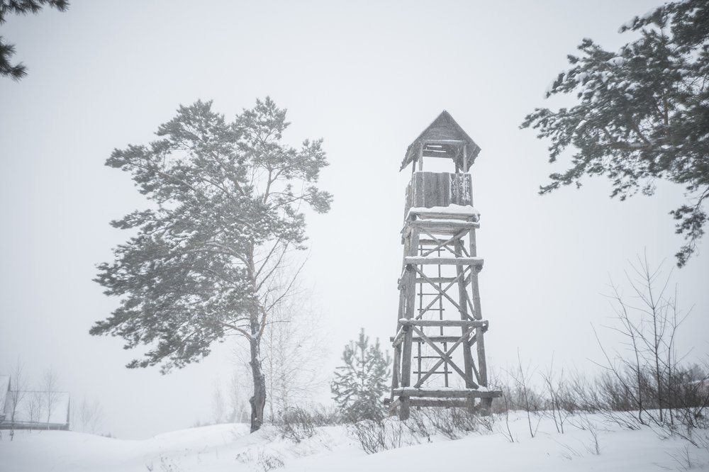 Фотография автора Александр Кременицкий